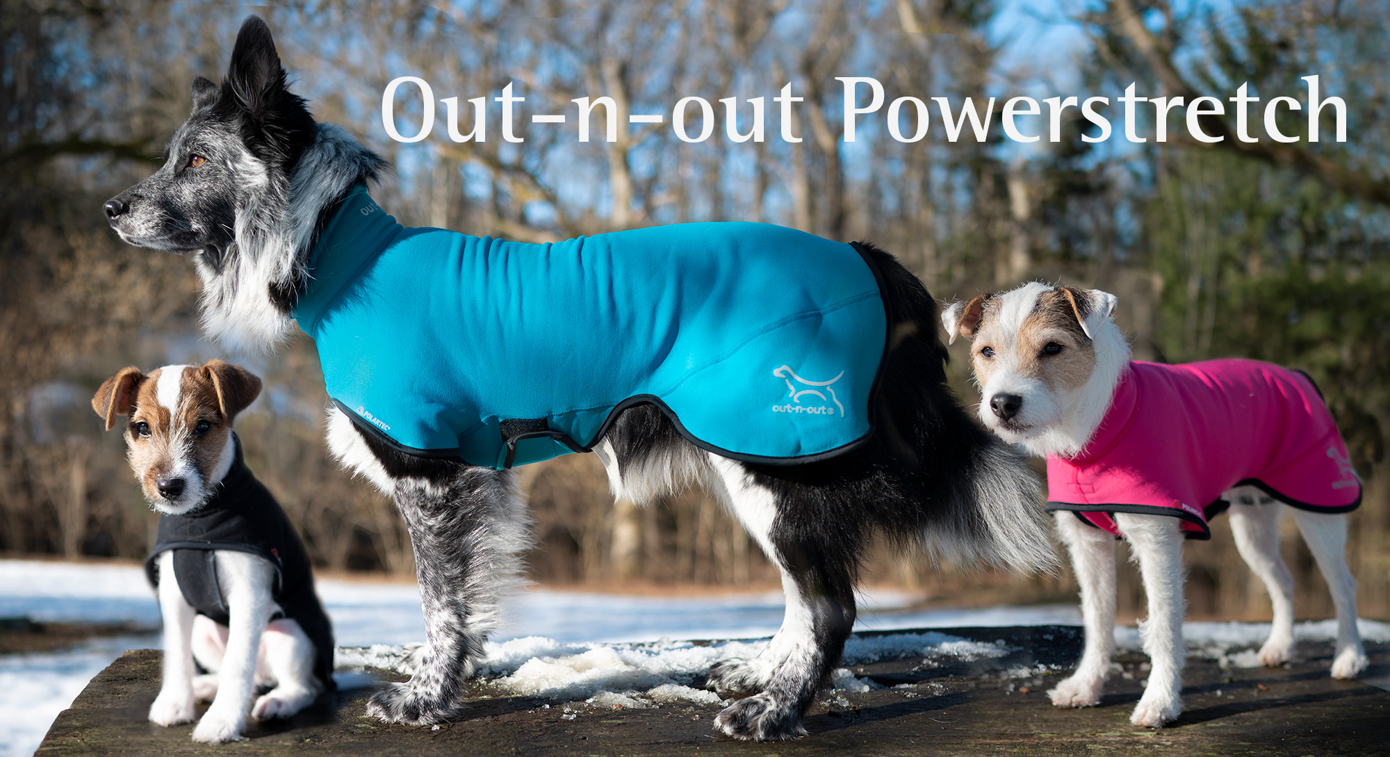 Dog jacket in Polartec Powerstretch pro
