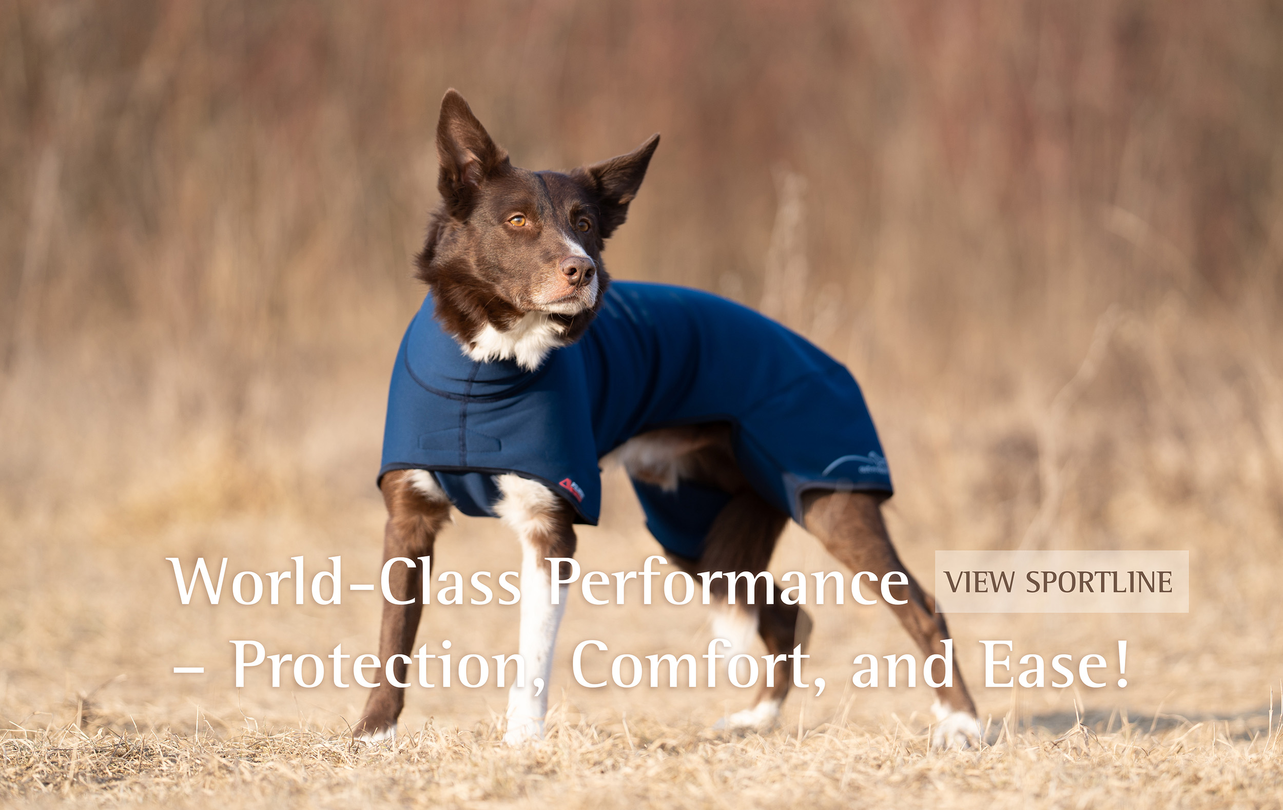 best working jacket for dogs
