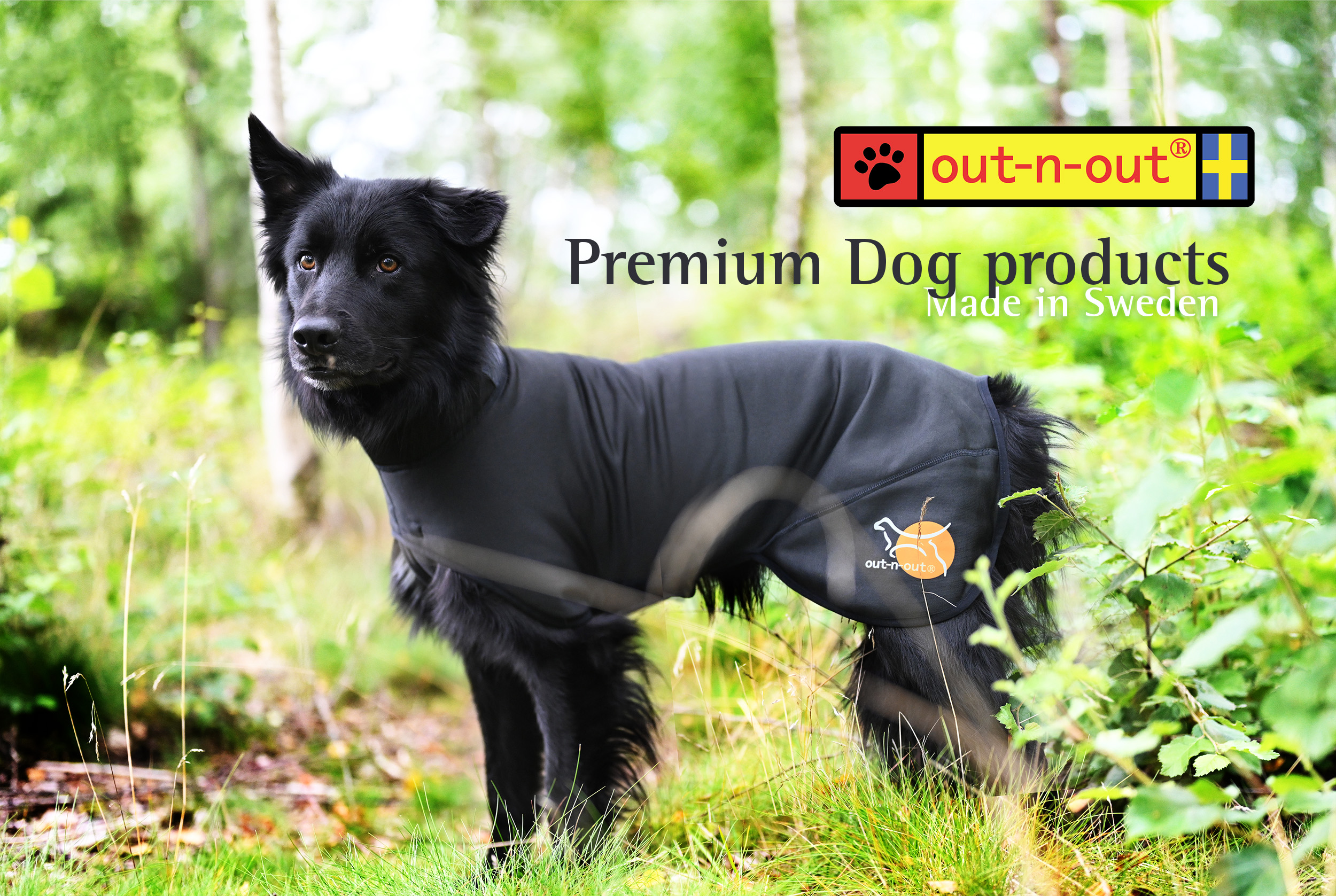 premium Dog products