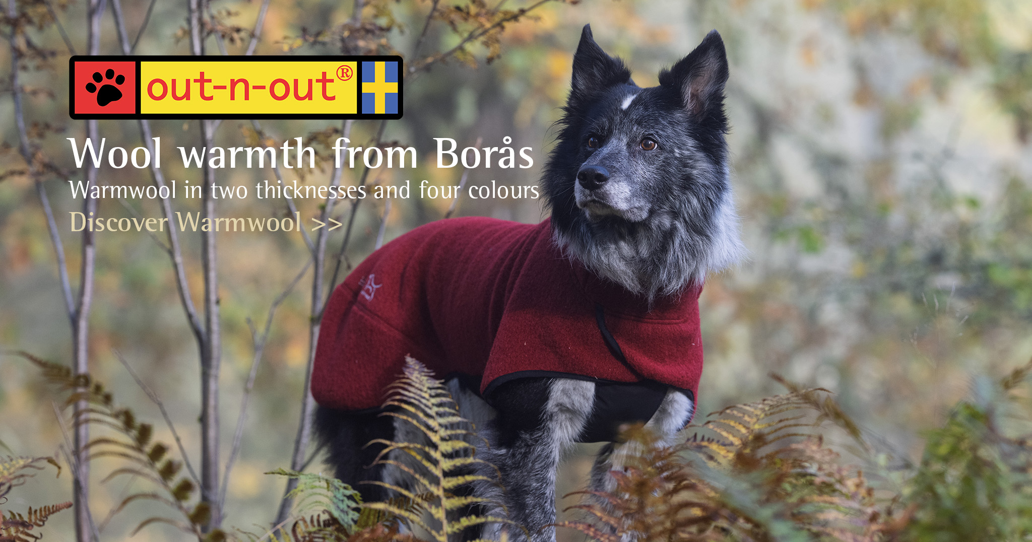 Dog jacket in exclusive wool fabric